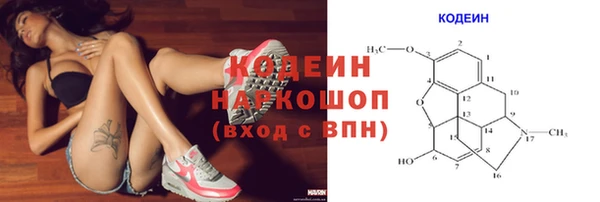 гашик Снежногорск