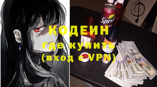 гашик Снежногорск